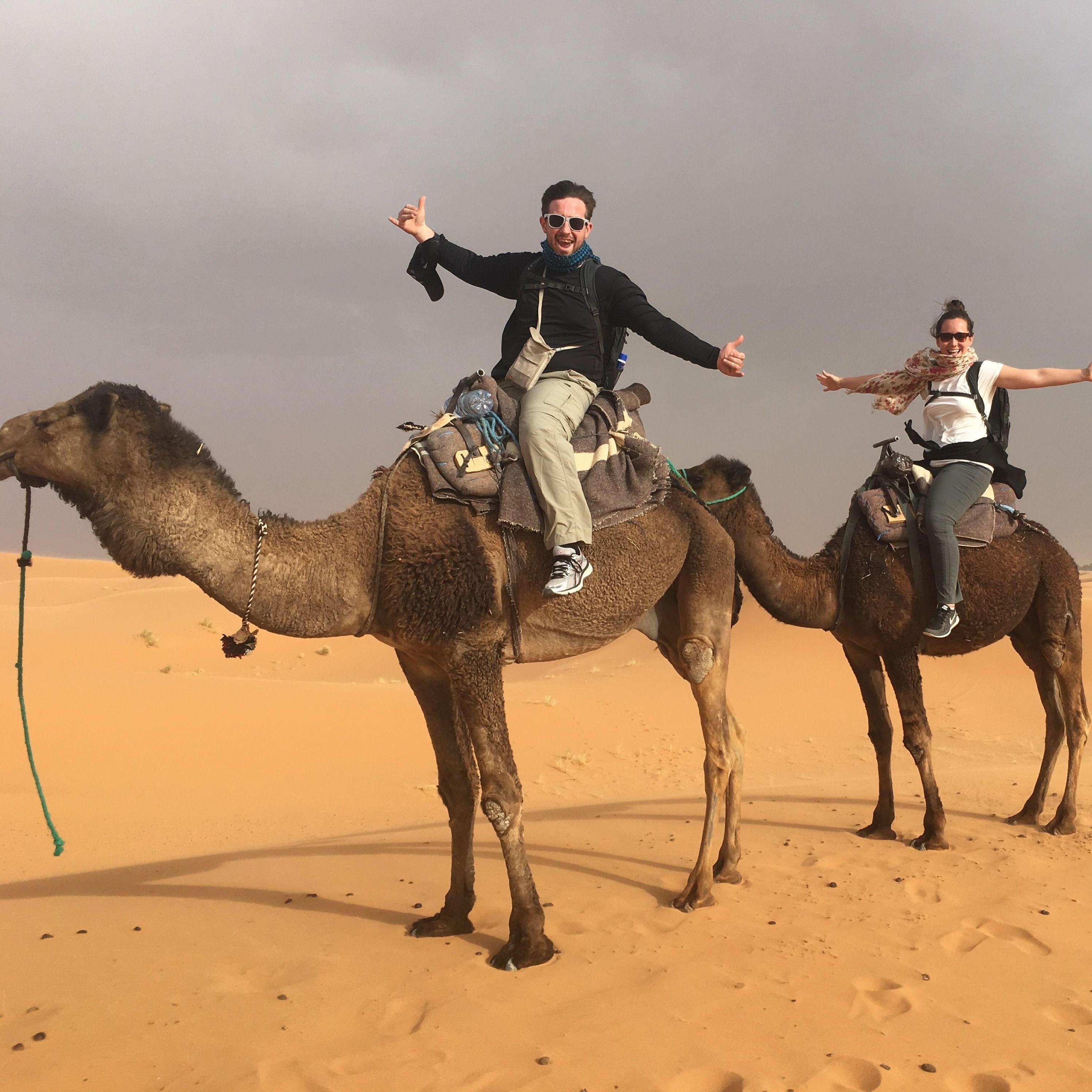 Sahara Desert, Spring 2016