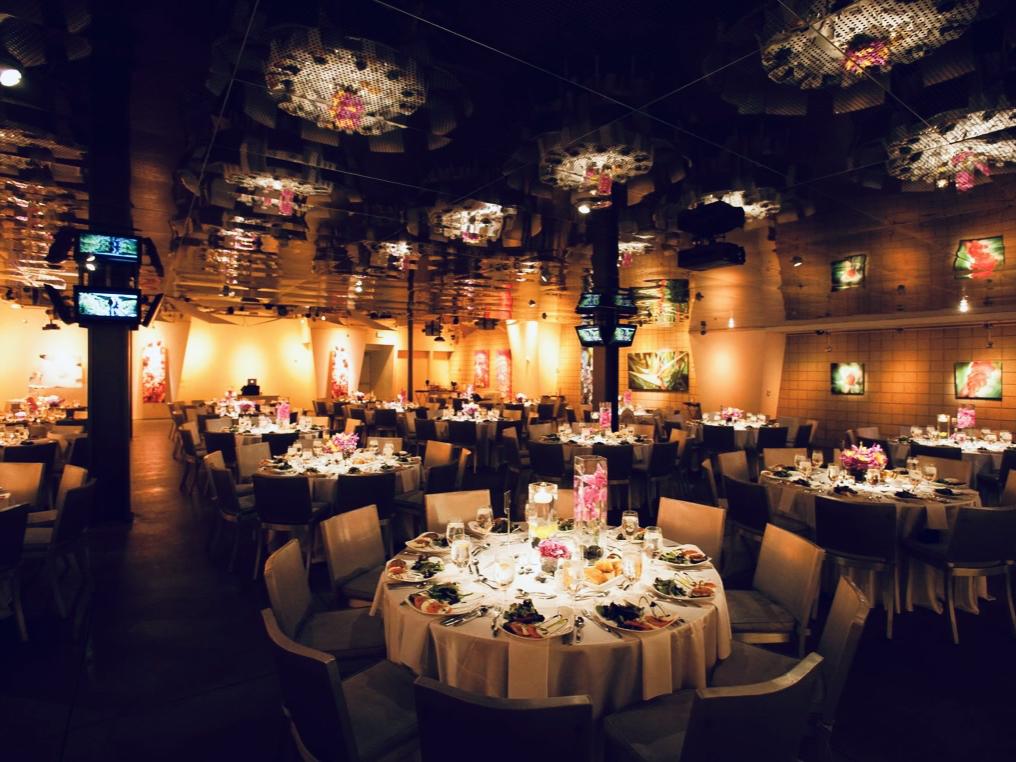 The Wedding Website of Marisela Garcia and Amir Nassire