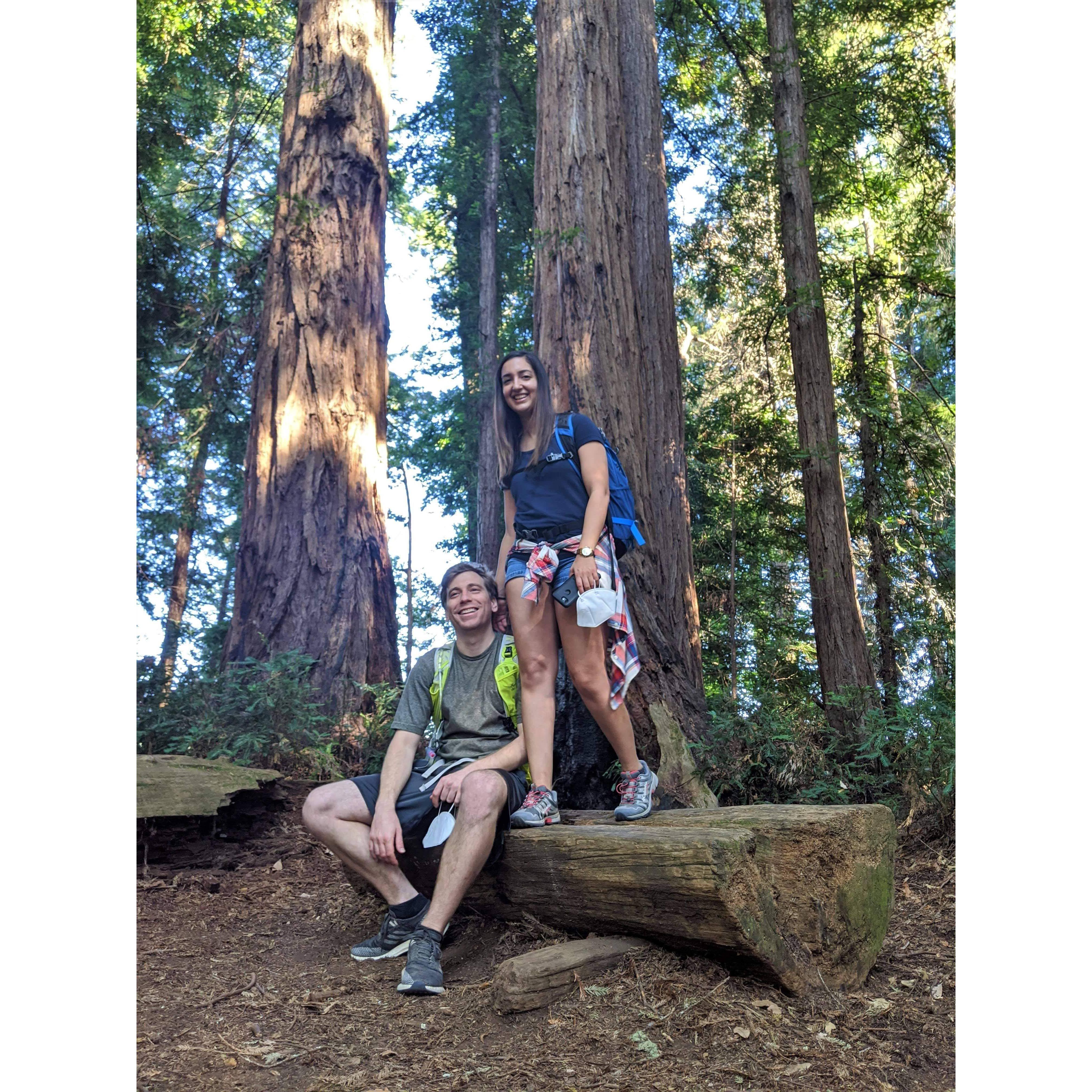 Hiking at Big Basin Redwoods State Park