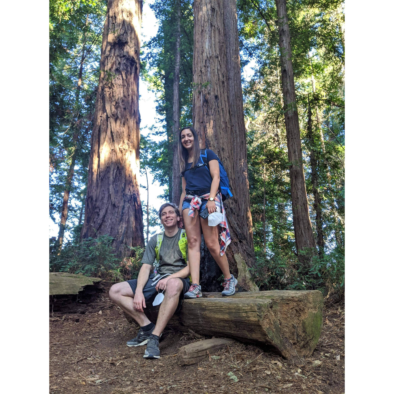 Hiking at Big Basin Redwoods State Park
