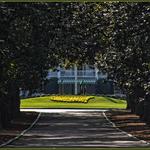 Magnolia Lane