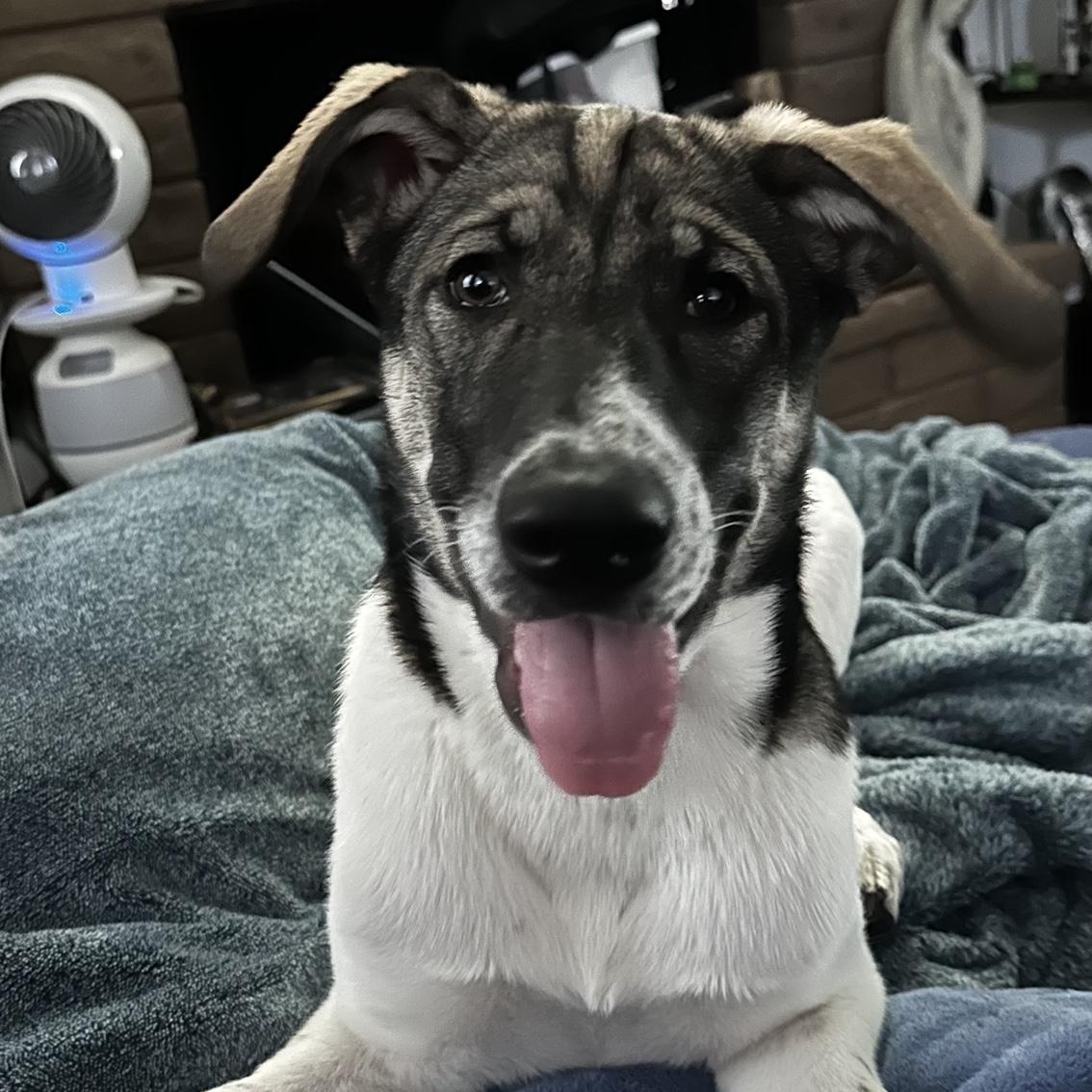 Luna