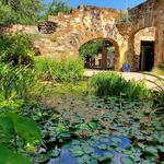 Lady Bird Johnson Wildflower Center