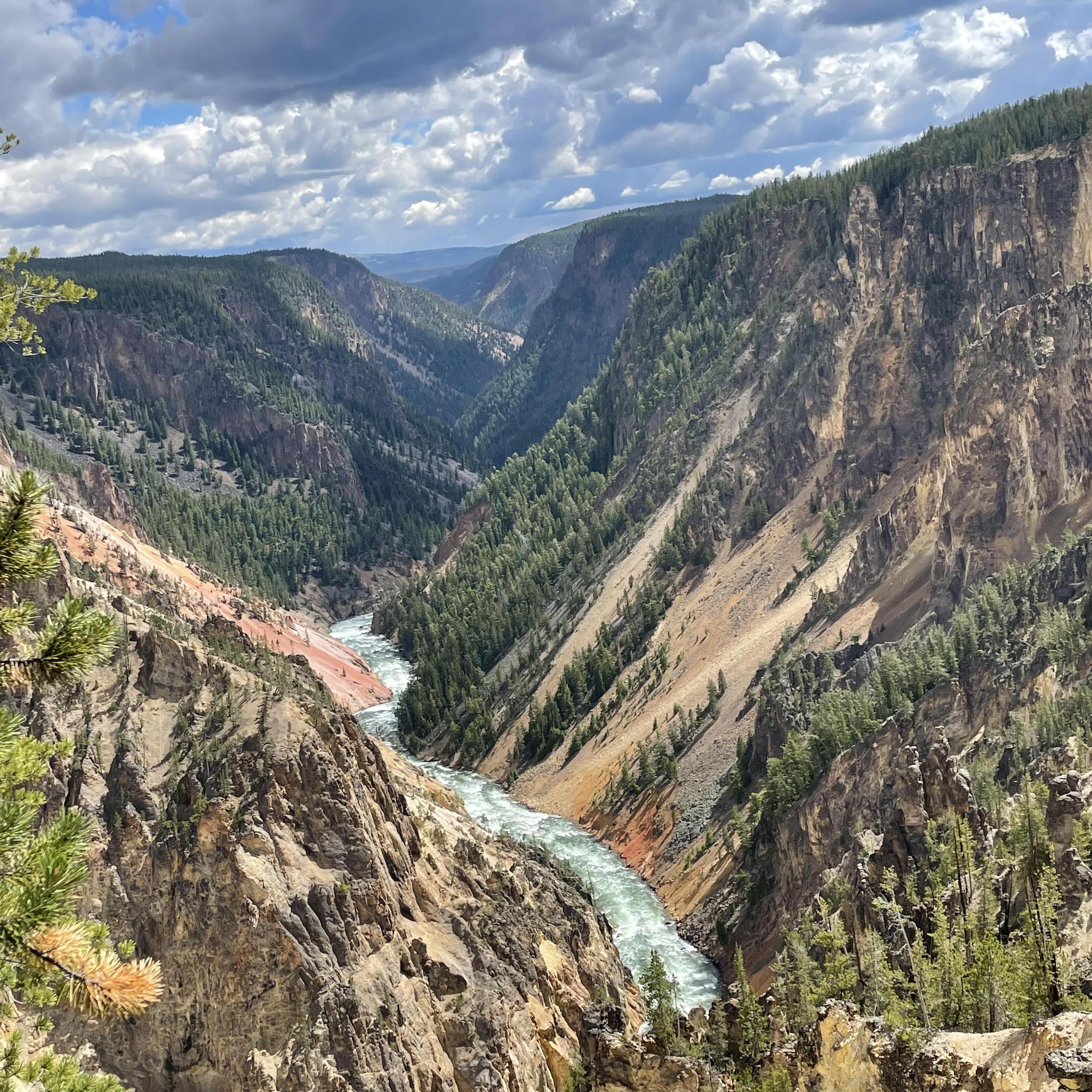 Yellowstone, June 2021