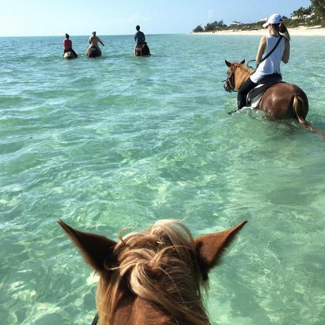 Horseback Riding