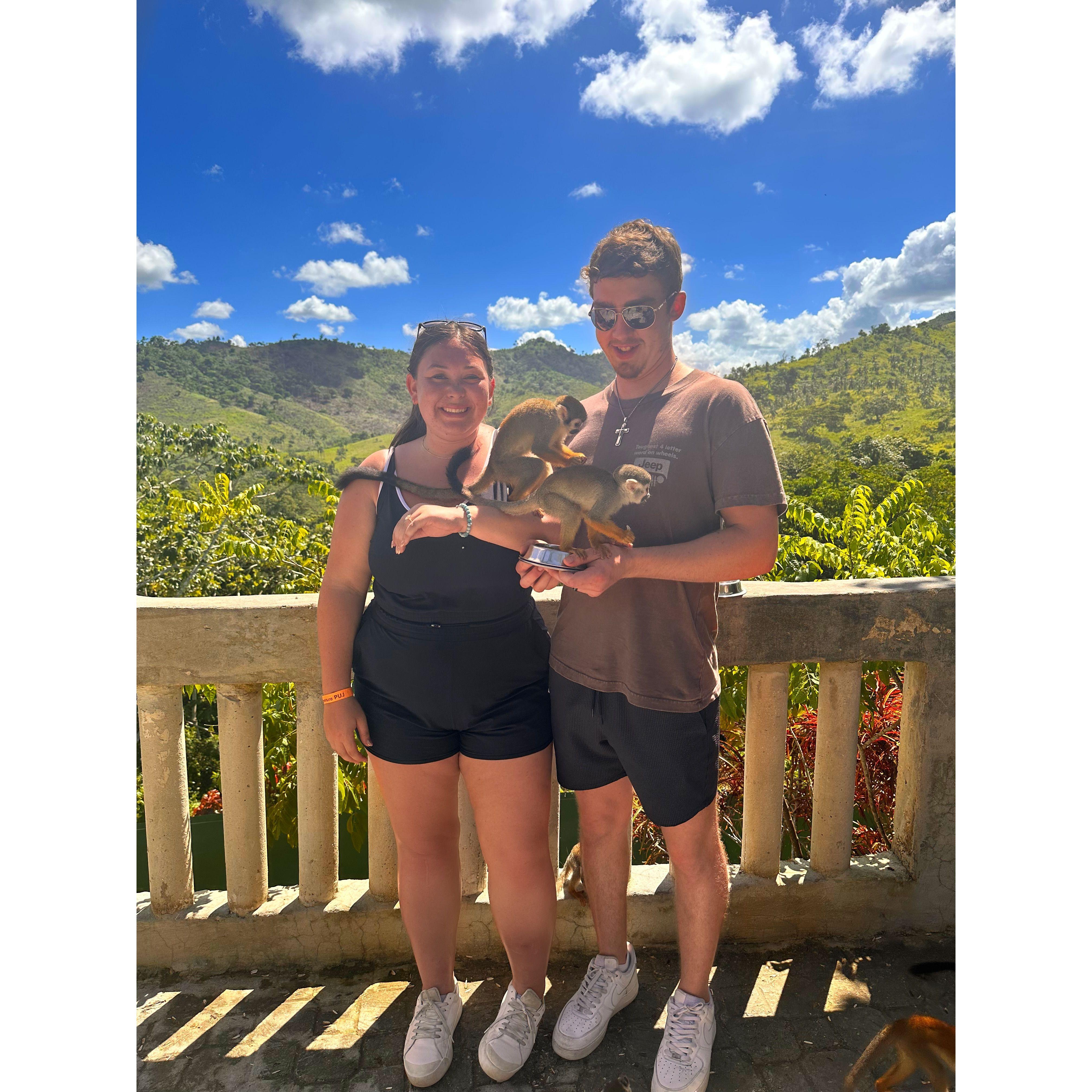 a few seconds later, the monkey pooped on us. Punta Cana, DR
