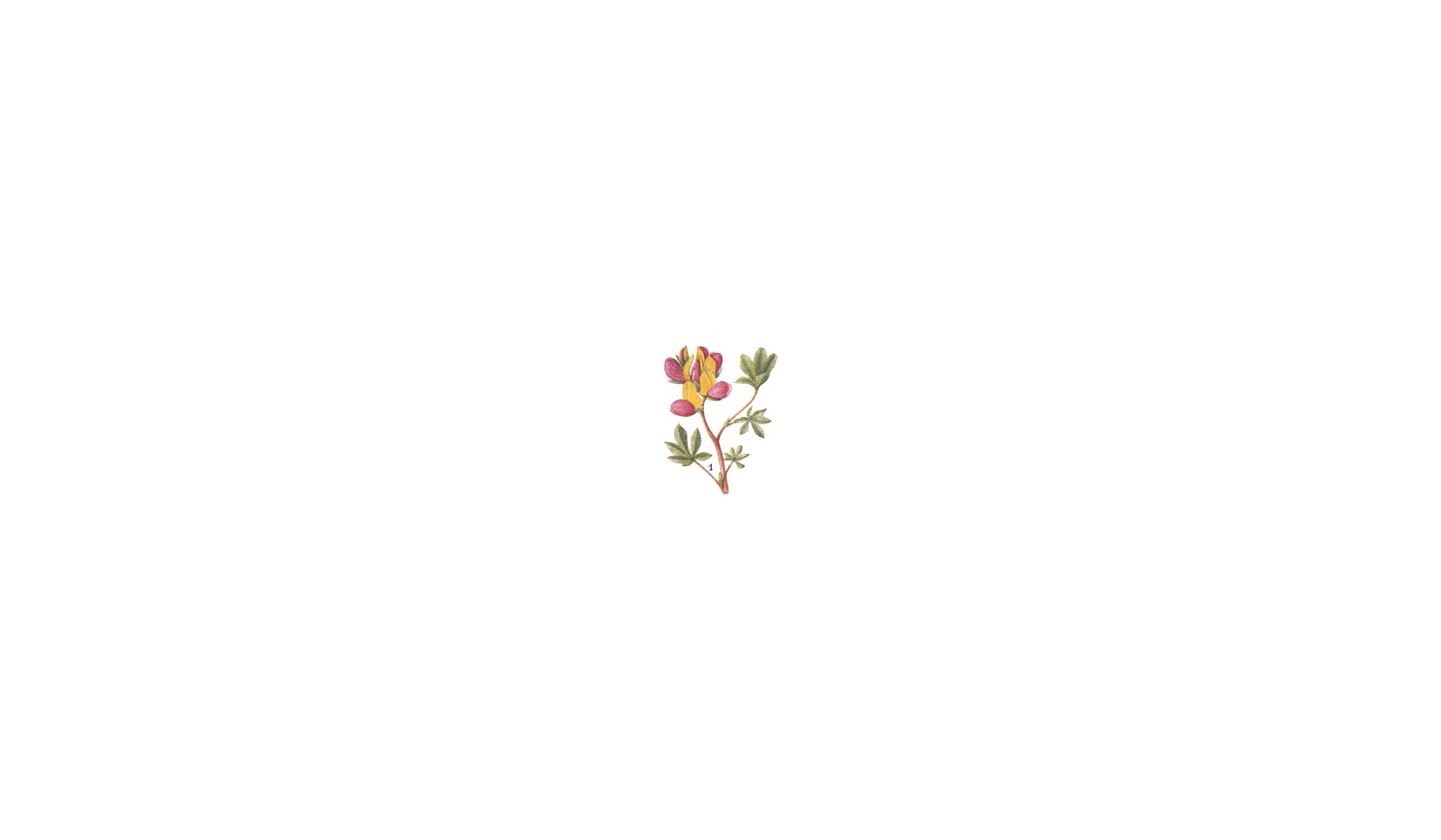 Footer image