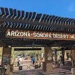 Arizona-Sonora Desert Museum