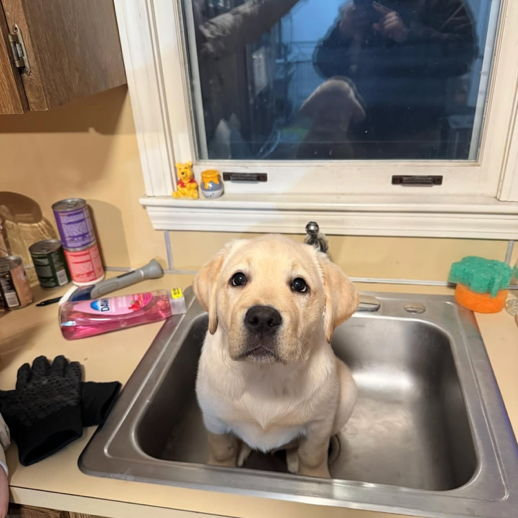 Baby Nyla has a bath