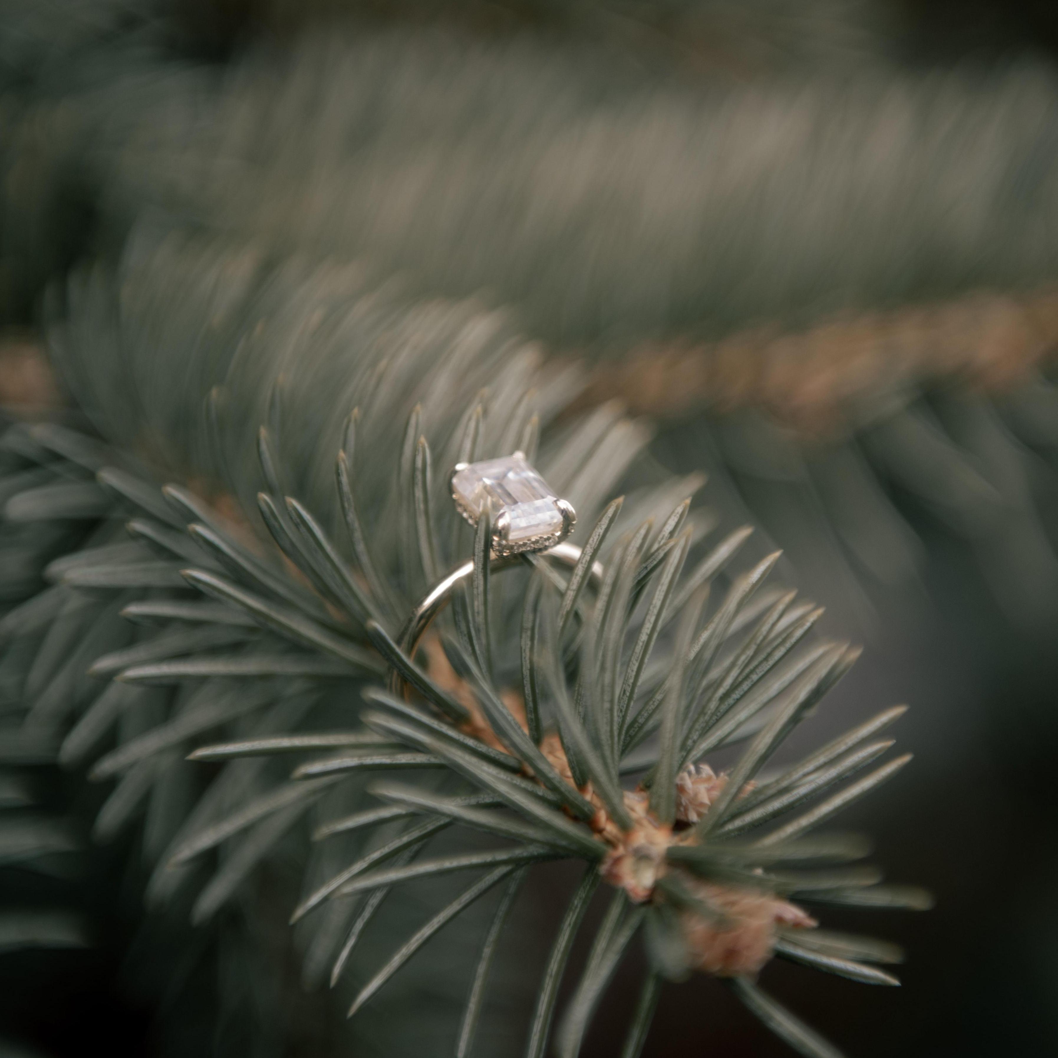 The ring!