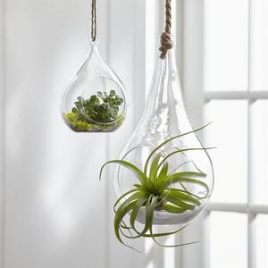 Glass Hanging Planters