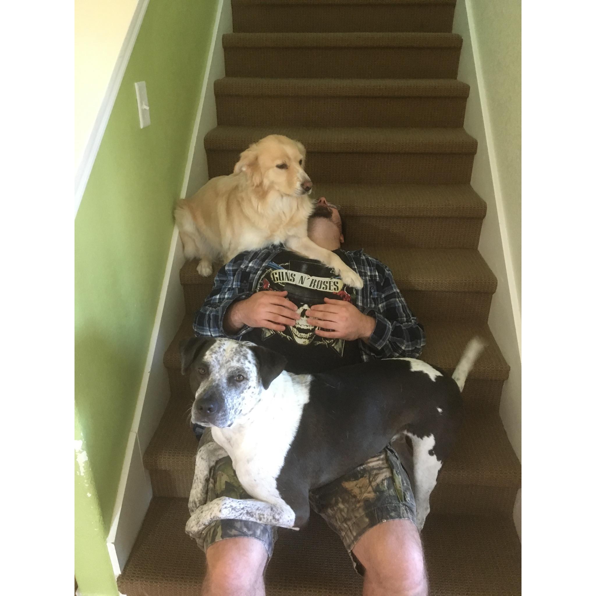 The moment my dogs chose him...