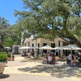 Signor Vineyards
