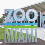Miami Zoo