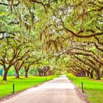 Boone Hall Plantation
