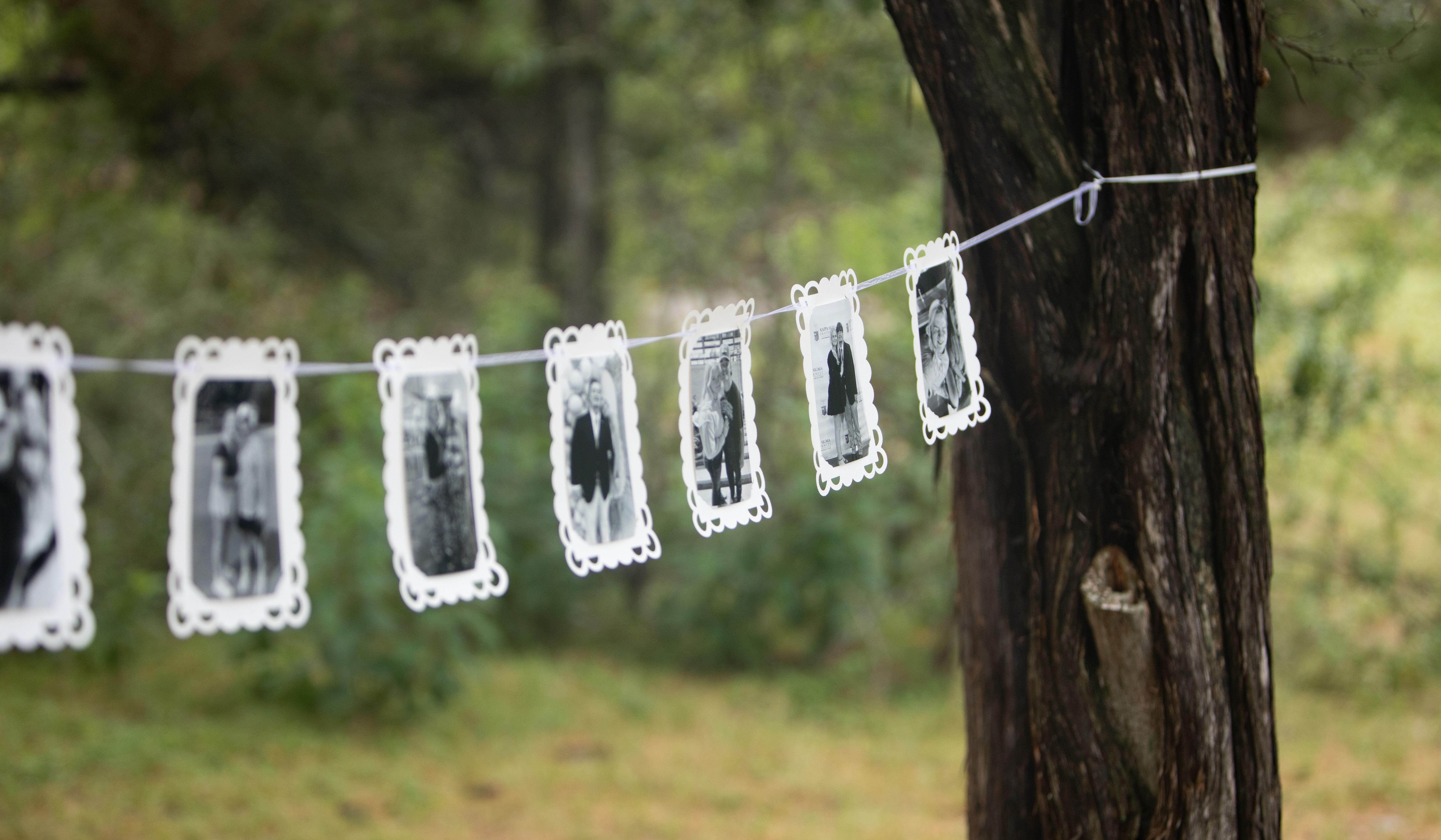 Hero Slideshow Image 0