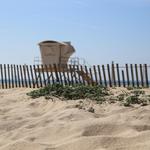 Bolsa Chica State Beach