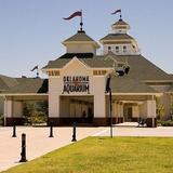 Oklahoma Aquarium