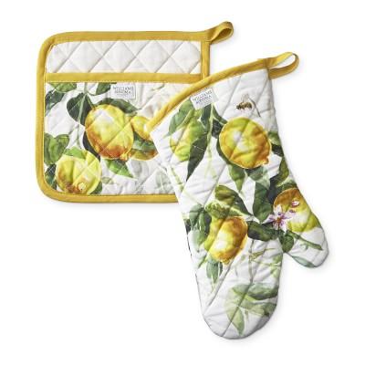 Painterly Citrus Oven Mitt & Potholder Set