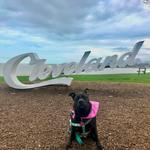Edgewater Park