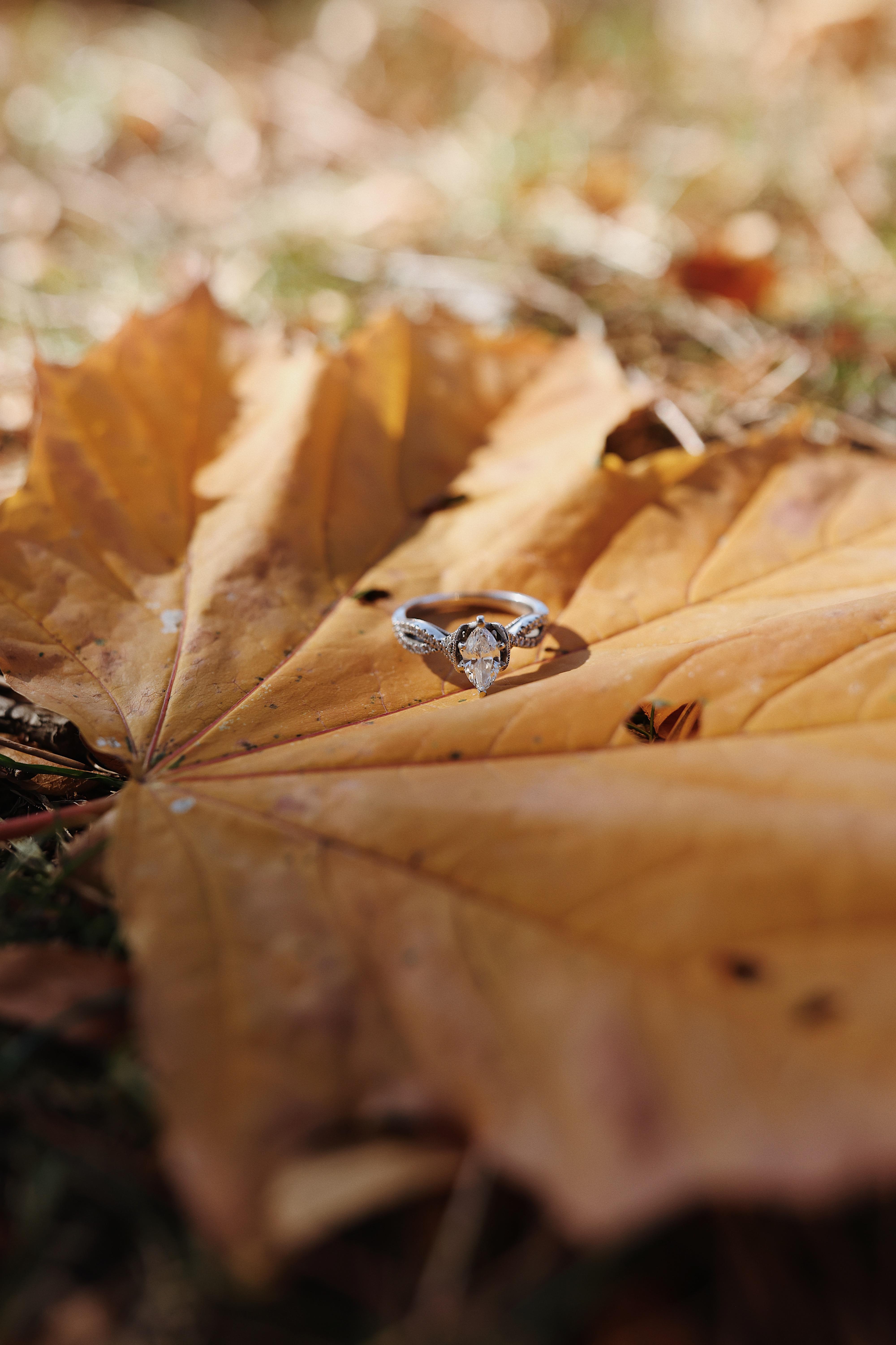 The Wedding Website of Carly Garvin and Tony Williams