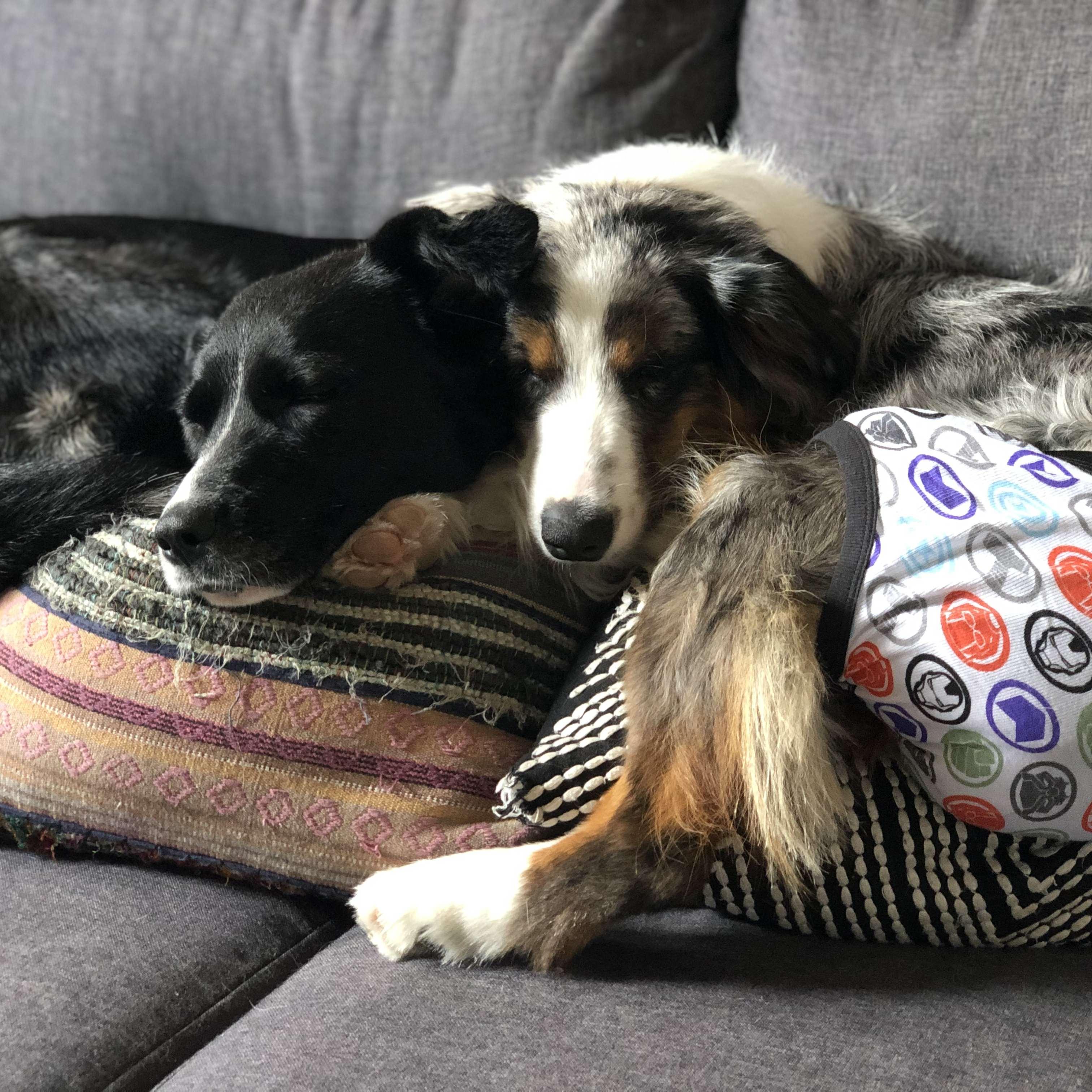 The girls finally cuddling together!