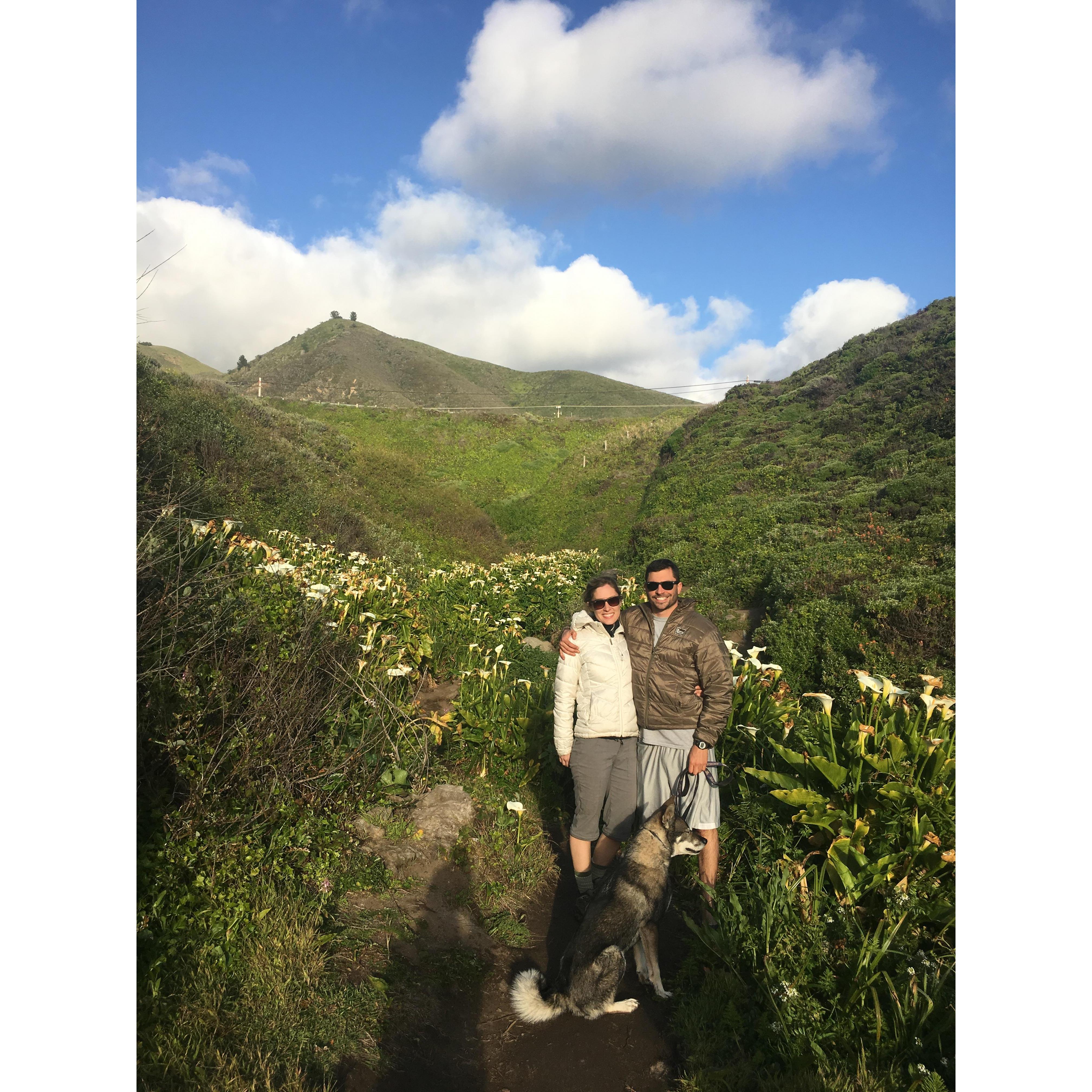 The Valley of Lilies, Big Sur