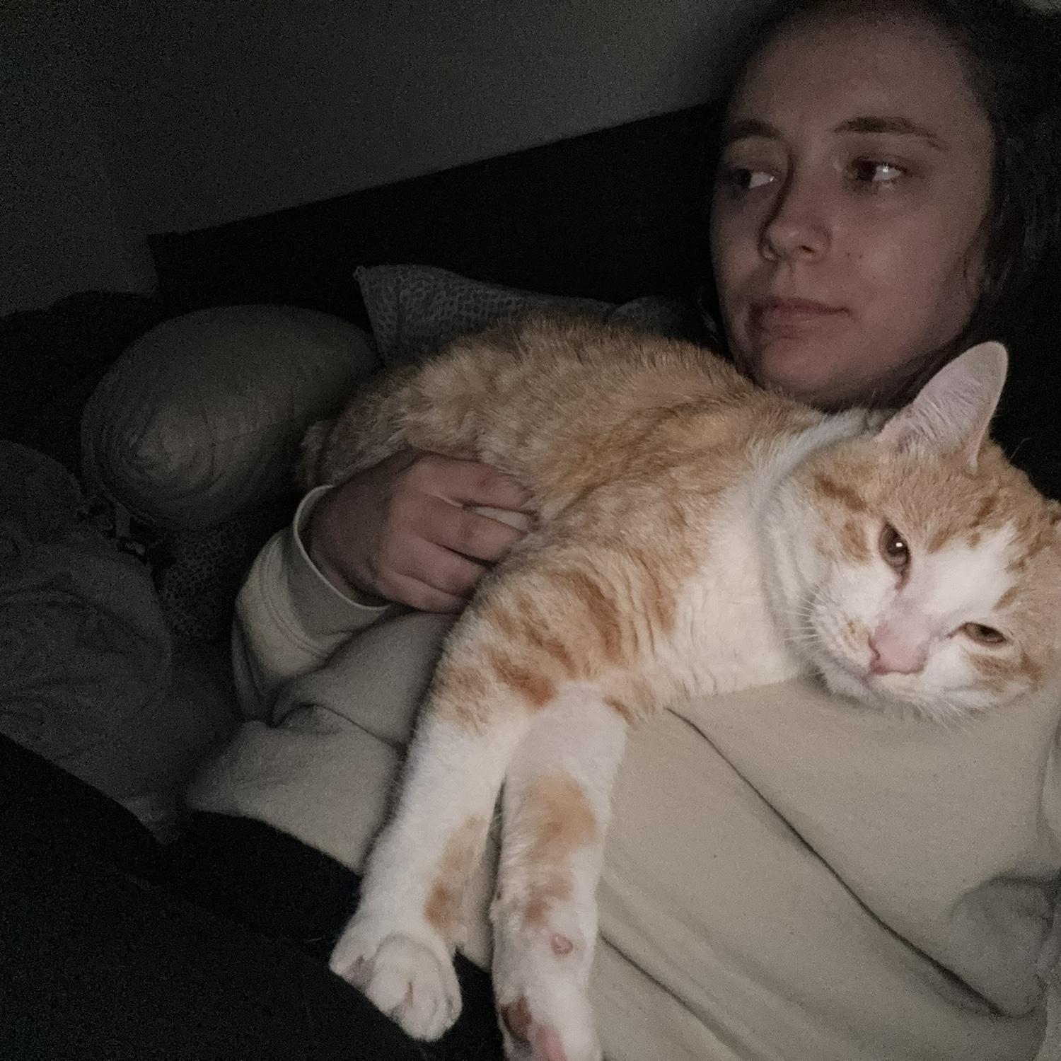 In June, after we lost Nilla our hearts were aching and Frank found a way to nuzzle in.