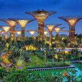 Gardens by the Bay