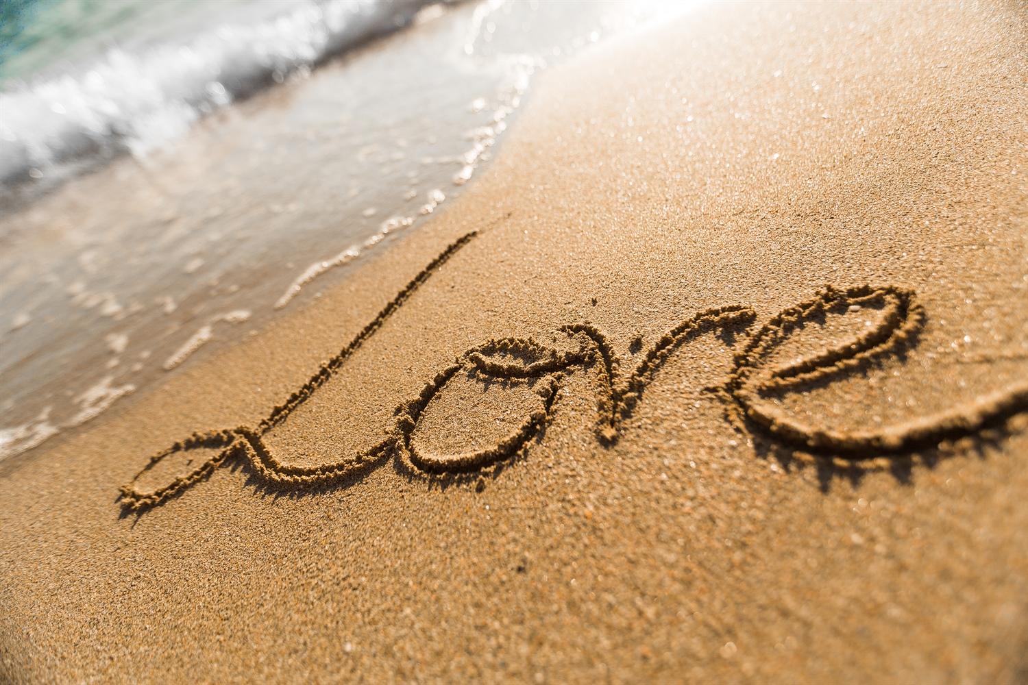 The Wedding Website of Kaitlyn Ann Bannon and William Thomas Magee