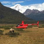 Helicopter Flightseeing