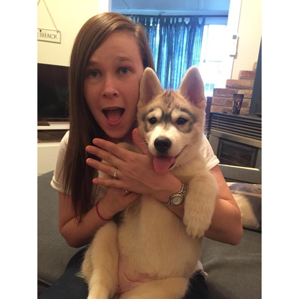 Kim also proposed to Kimberley, via puppy Laci who carried the ring to Kimberley.