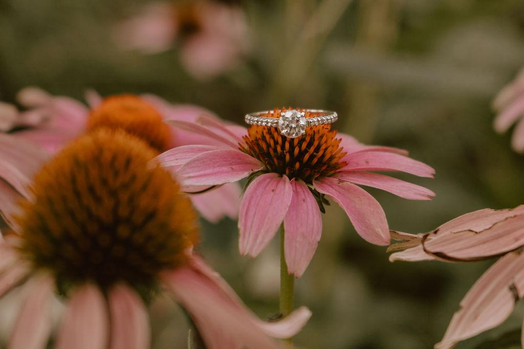 The Wedding Website of Frannie Haller and Ethan Lowrey