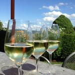 Sheldrake Point Winery