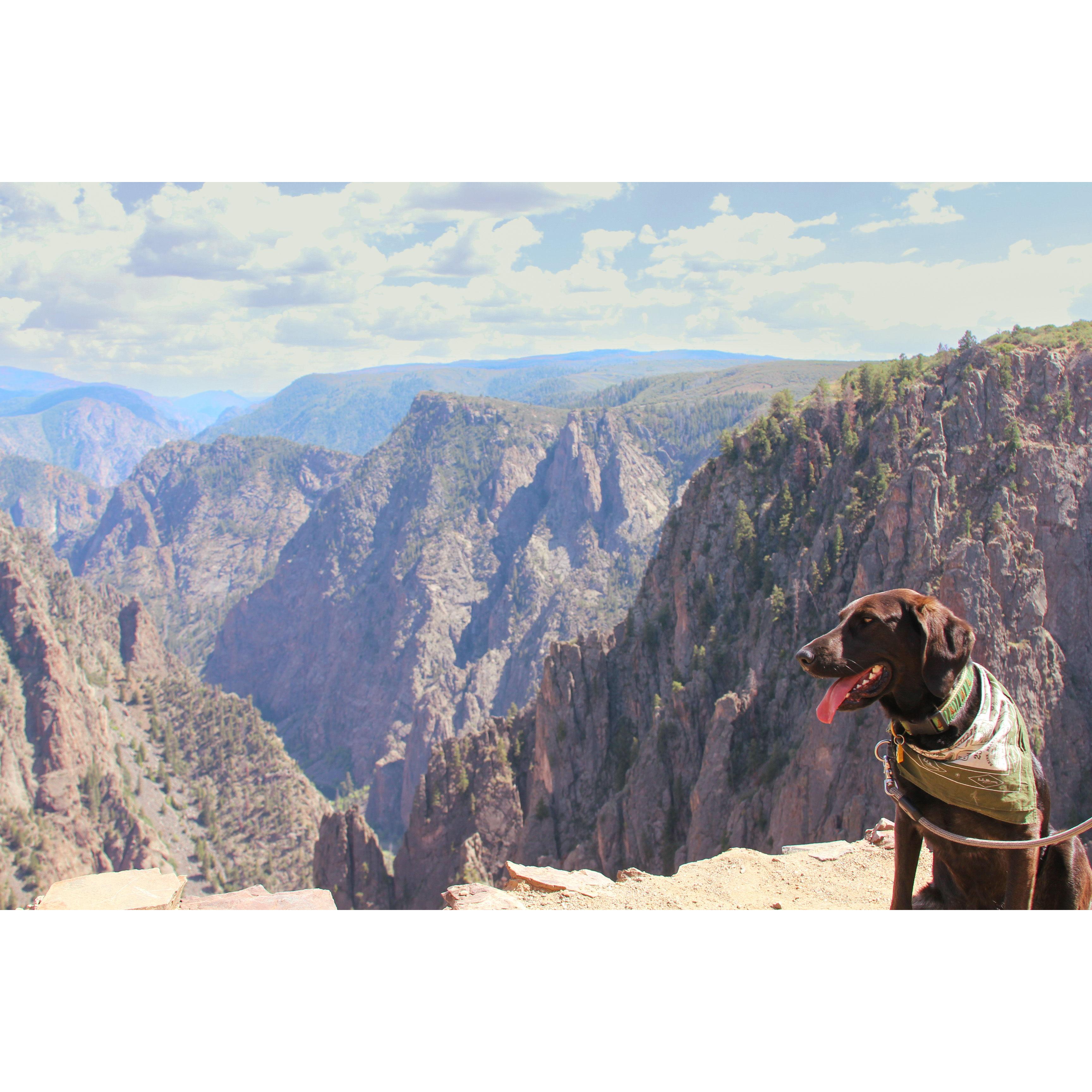 Black Canyon of the Gunnison National Park, 2022