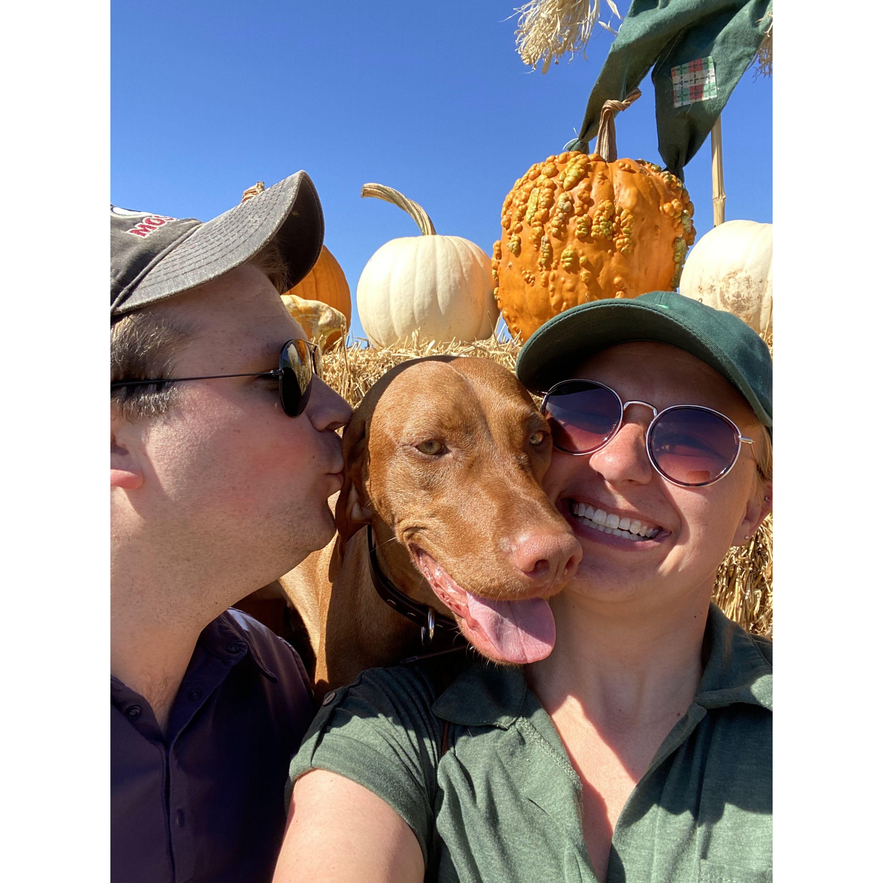 traditional fall pumpkin patch visit