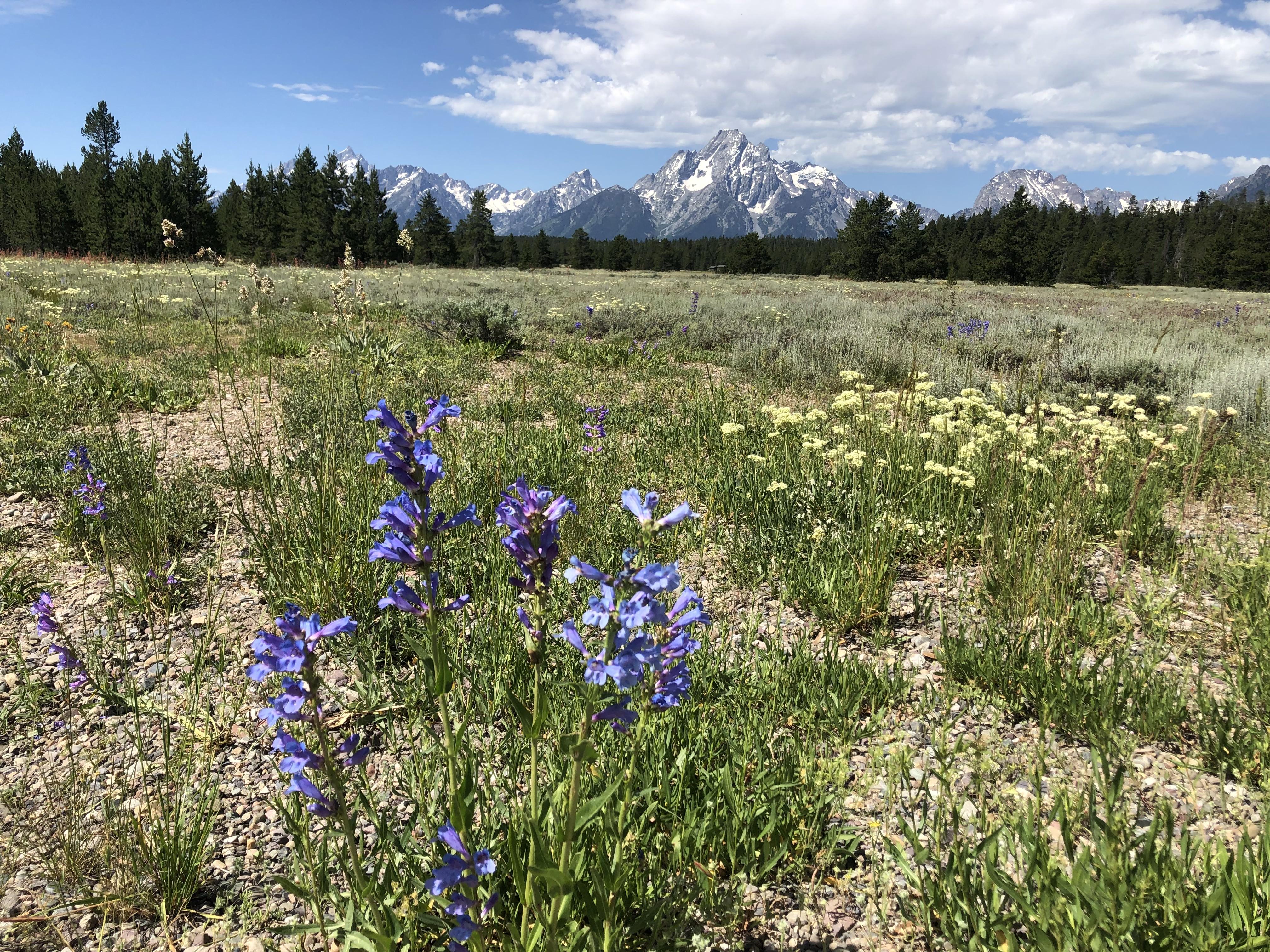 328e5b1b-feef-4013-836f-7e509dea7eda