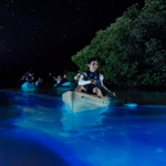 Blue Waters Kayaking Inverness - Bioluminescence Tour