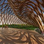 Do a yoga flow on the iconic yoga deck