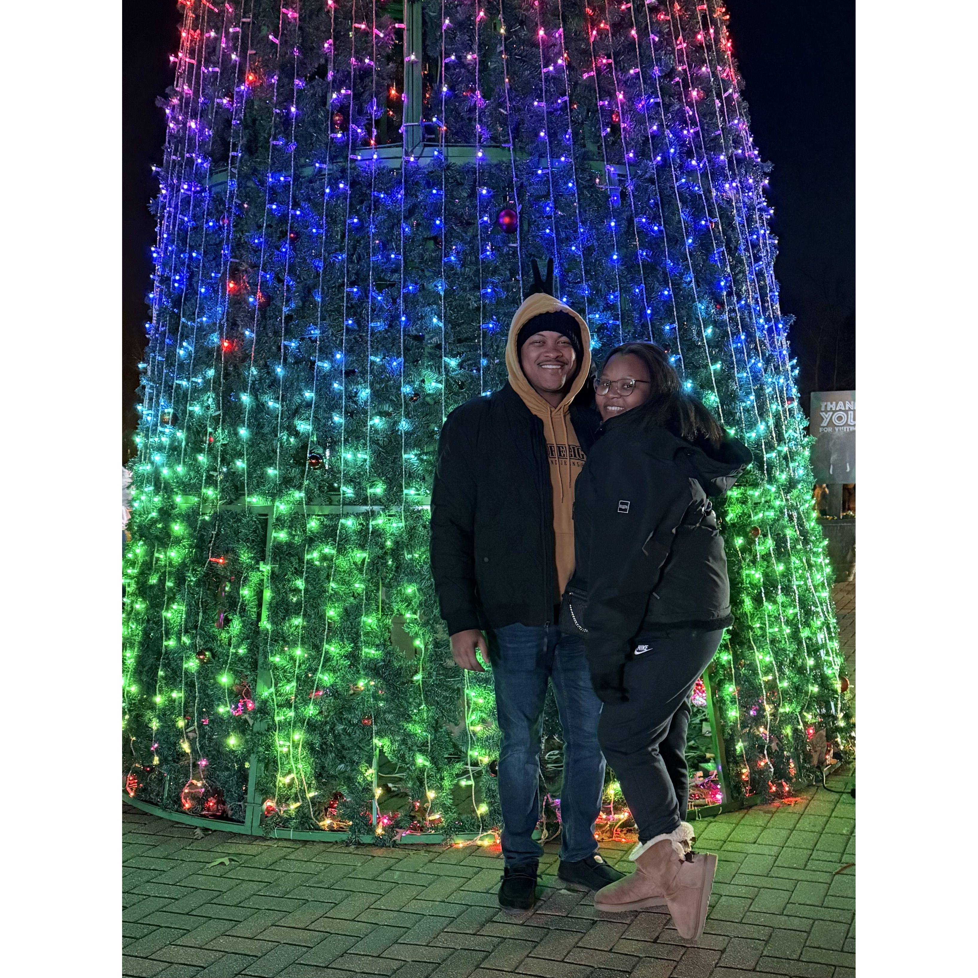 Zoo Lights for Christmas 2024🎄