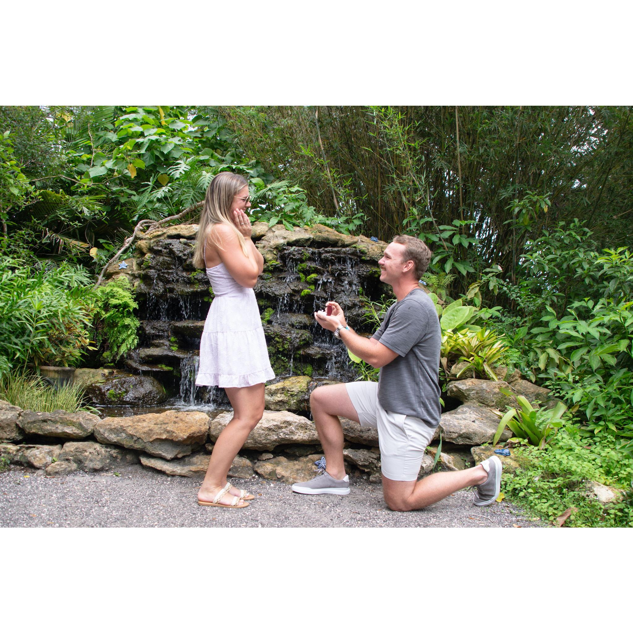 The proposal <3