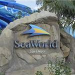 SeaWorld San Diego