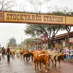 Fort Worth Stockyards