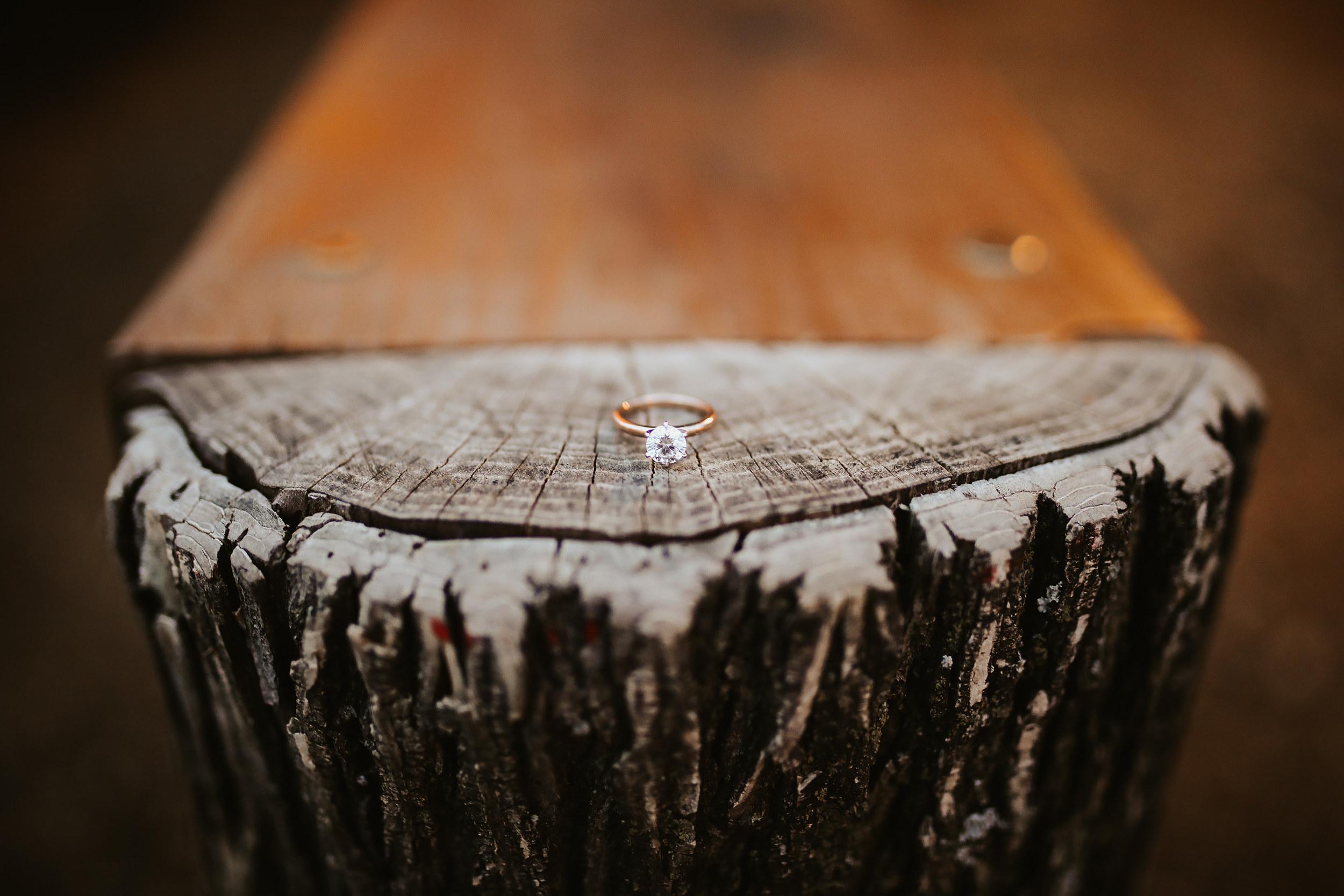 The Wedding Website of Christina Rodriguez and Olivier Bictel
