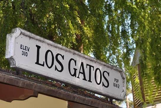 The Wedding Website of Bruno Boltz and Jaden Ring Robinson