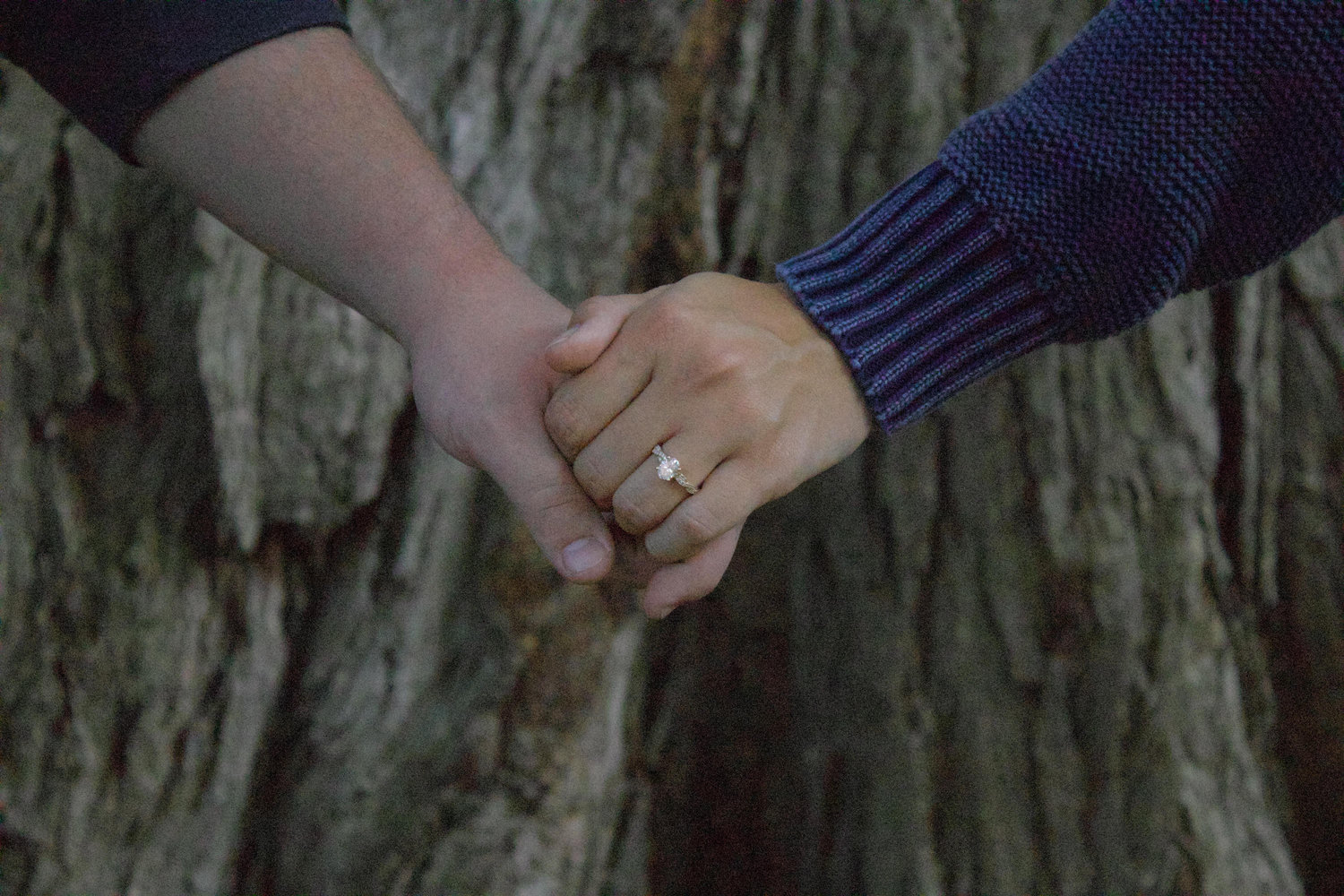 The Wedding Website of Kaeli Gard and Luke Baldwin