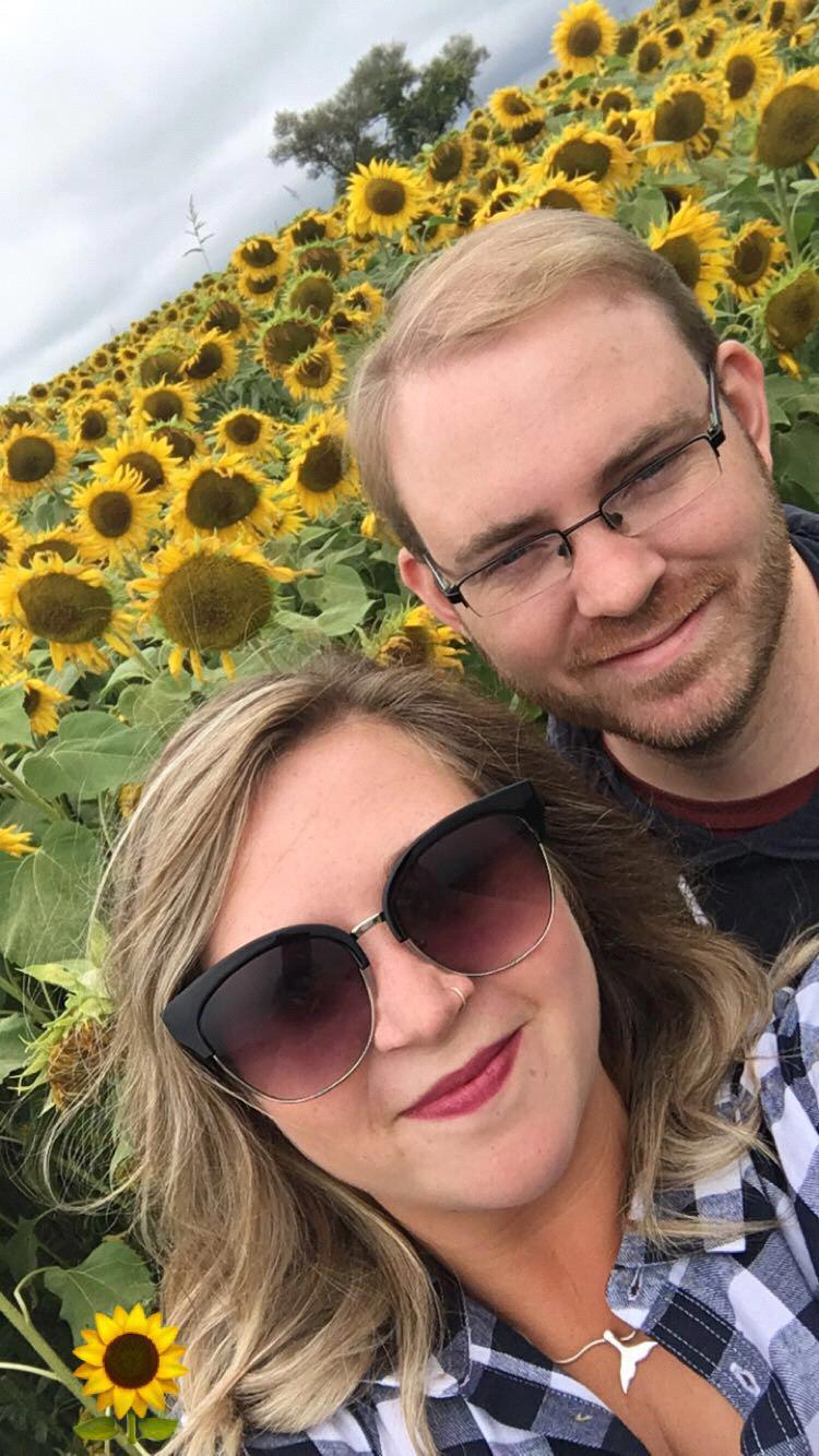 Sunflower fields