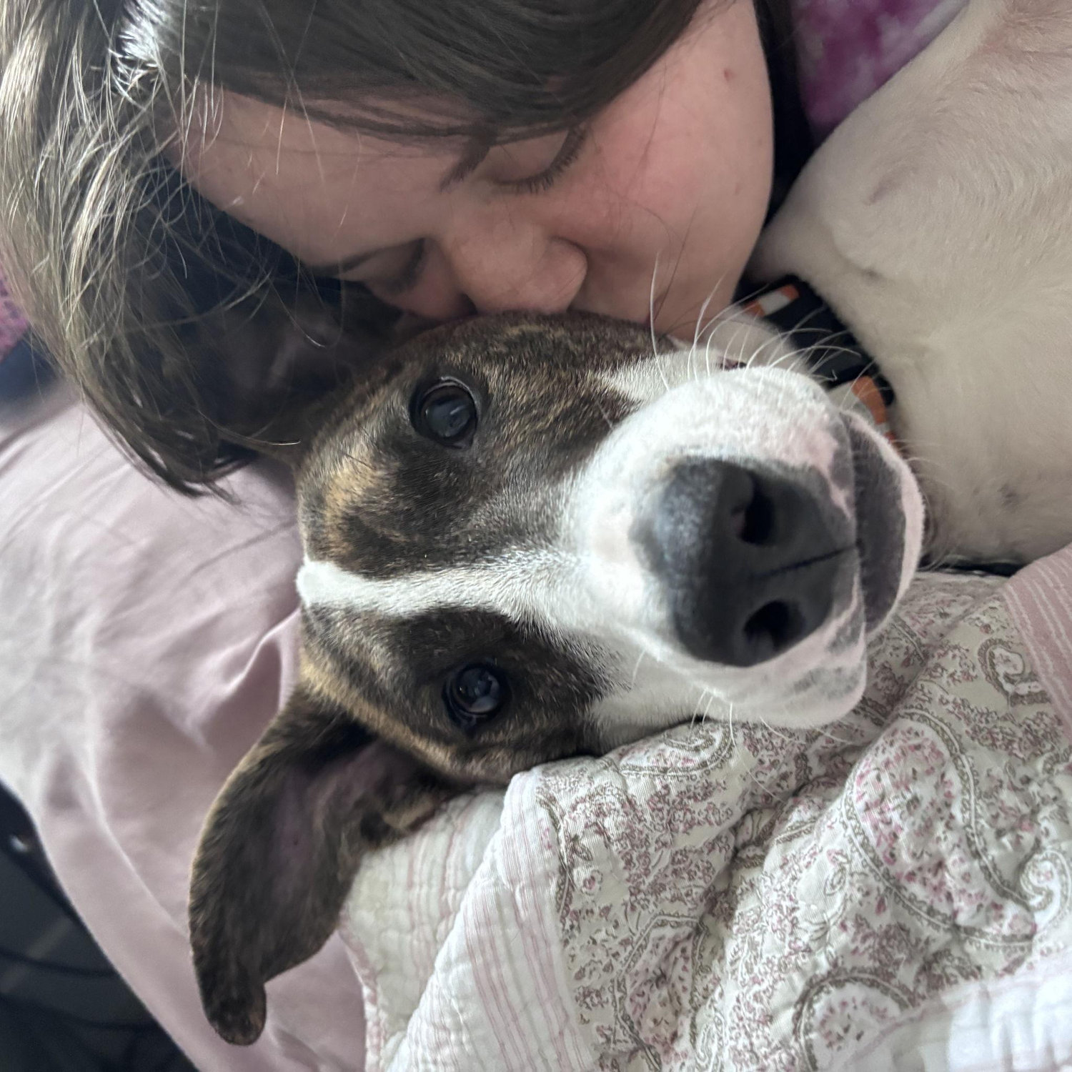 A glimpse into our mornings