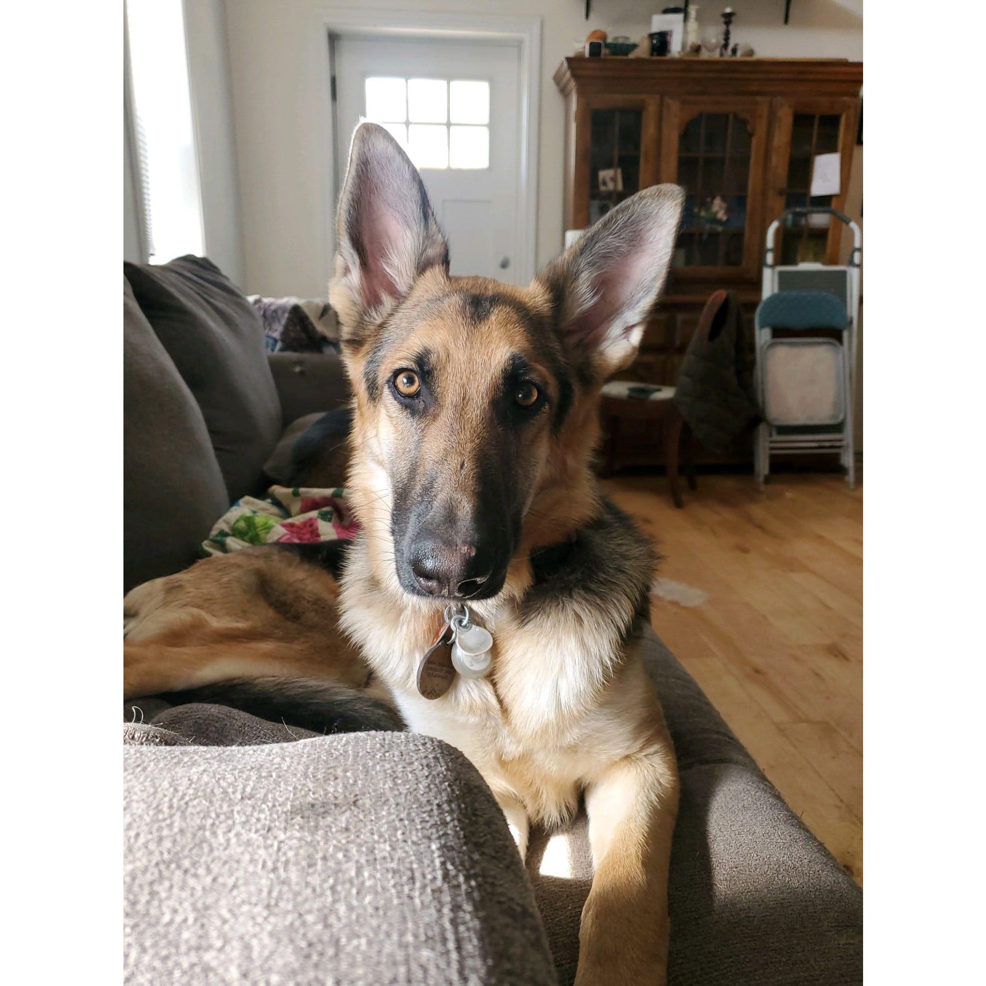 Liesl