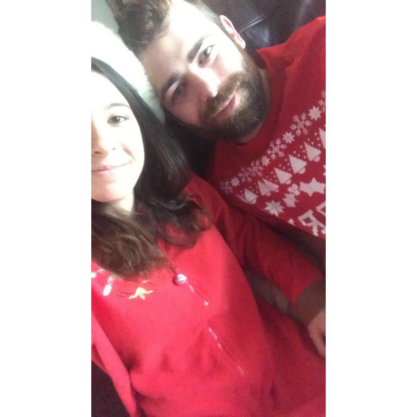 Christmas Swag